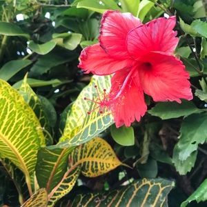 Meet your Posher, Noor